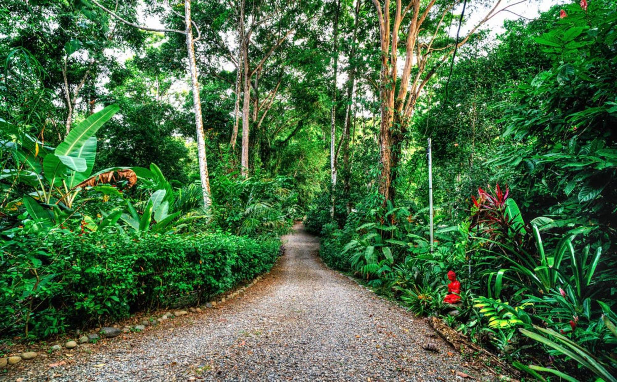 La Shamana - Ecological Concept In Jungle Villa Cahuita Exterior photo