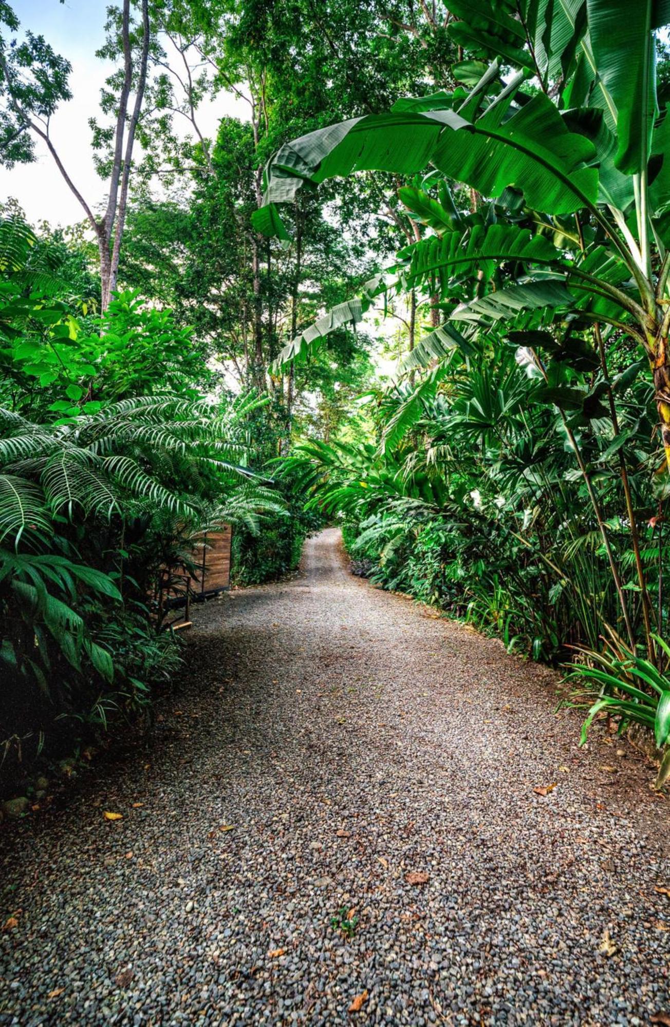 La Shamana - Ecological Concept In Jungle Villa Cahuita Exterior photo